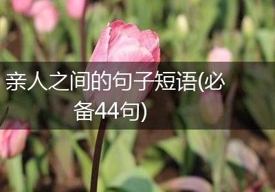 亲人之间的句子短语(必备44句)