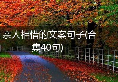 亲人相惜的文案句子(合集40句)