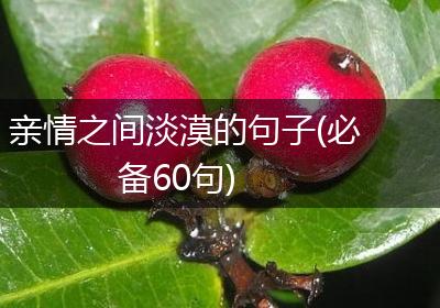 亲情之间淡漠的句子(必备60句)