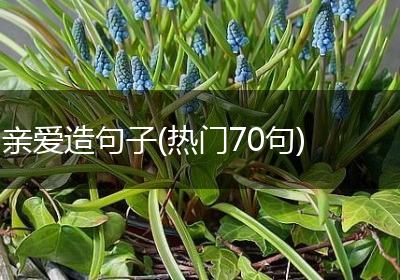 亲爱造句子(热门70句)