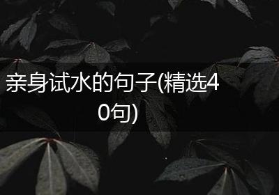 亲身试水的句子(精选40句)