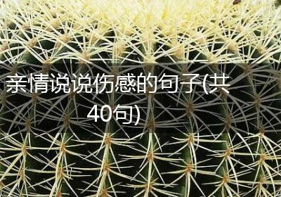 亲情说说伤感的句子(共40句)