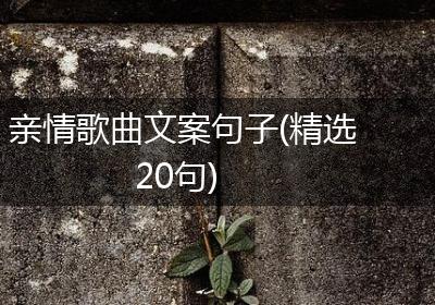 亲情歌曲文案句子(精选20句)