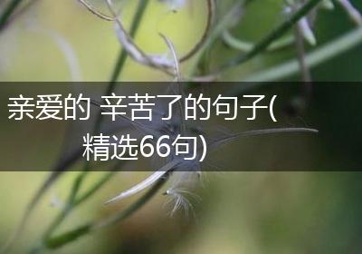 亲爱的 辛苦了的句子(精选66句)