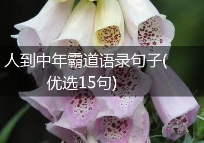 人到中年霸道语录句子(优选15句)