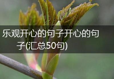 乐观开心的句子开心的句子(汇总50句)