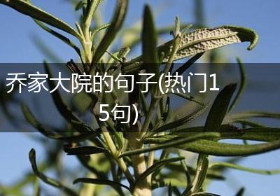 乔家大院的句子(热门15句)