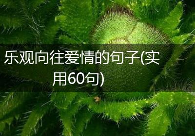 乐观向往爱情的句子(实用60句)