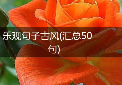 乐观句子古风(汇总50句)