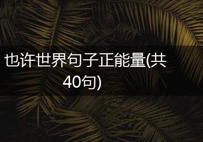 也许世界句子正能量(共40句)