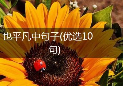 也平凡中句子(优选10句)