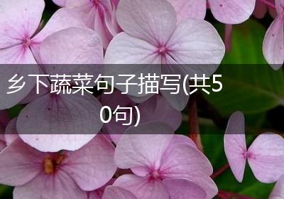 乡下蔬菜句子描写(共50句)