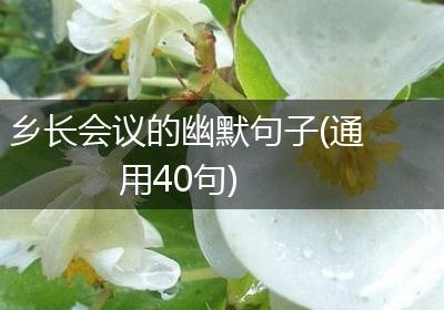 乡长会议的幽默句子(通用40句)