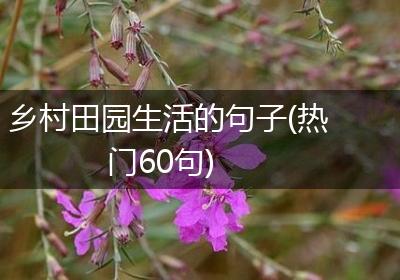 乡村田园生活的句子(热门60句)