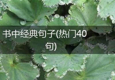 书中经典句子(热门40句)