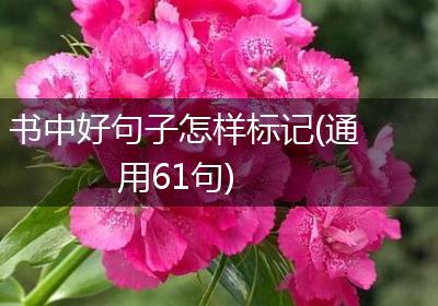 书中好句子怎样标记(通用61句)