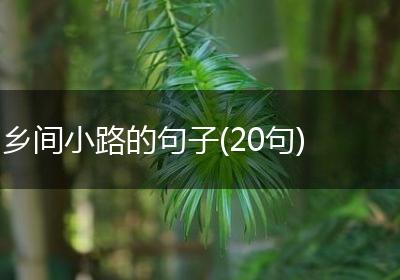 乡间小路的句子(20句)