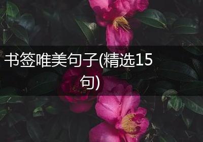 书签唯美句子(精选15句)