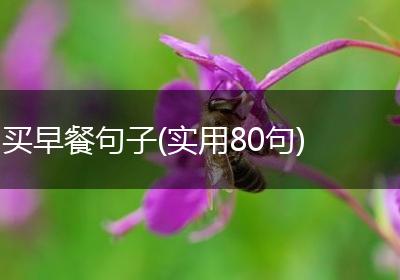 买早餐句子(实用80句)