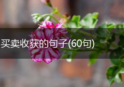 买卖收获的句子(60句)