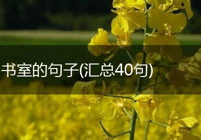 书室的句子(汇总40句)