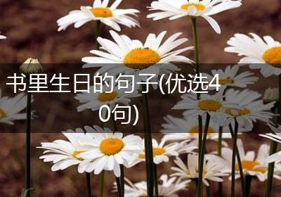 书里生日的句子(优选40句)
