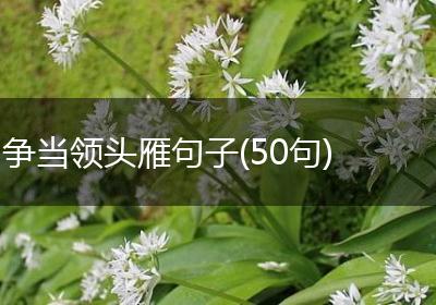 争当领头雁句子(50句)
