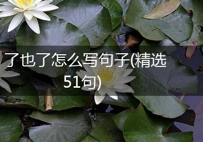 了也了怎么写句子(精选51句)