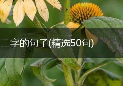 二字的句子(精选50句)