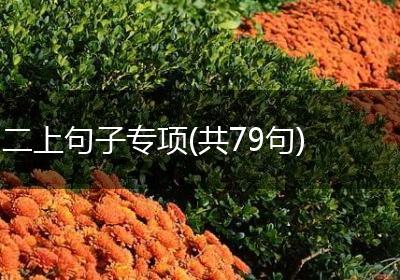 二上句子专项(共79句)