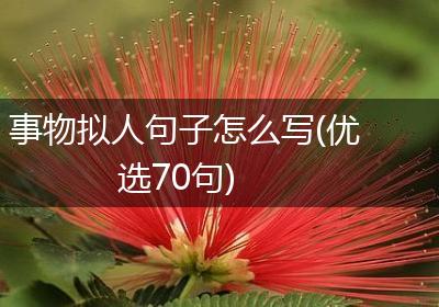 事物拟人句子怎么写(优选70句)