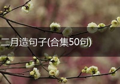 二月造句子(合集50句)