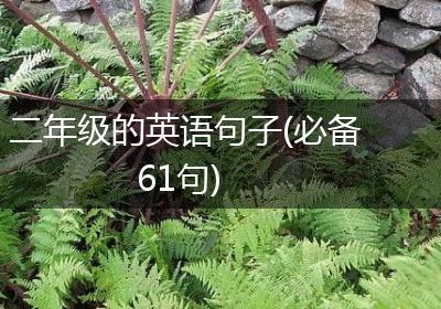 二年级的英语句子(必备61句)