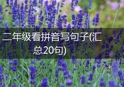 二年级看拼音写句子(汇总20句)