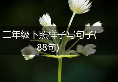 二年级下照样子写句子(88句)