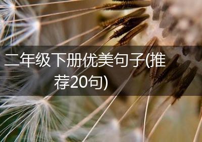 二年级下册优美句子(推荐20句)