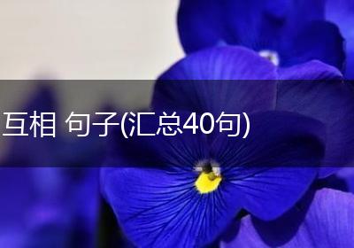 互相 句子(汇总40句)