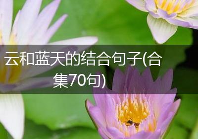 云和蓝天的结合句子(合集70句)
