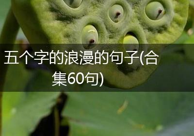 五个字的浪漫的句子(合集60句)