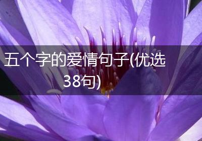 五个字的爱情句子(优选38句)