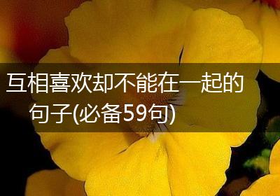 互相喜欢却不能在一起的句子(必备59句)