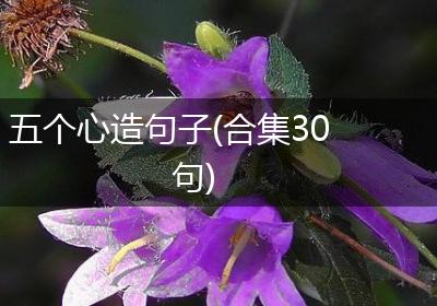 五个心造句子(合集30句)