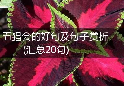 五猖会的好句及句子赏析(汇总20句)