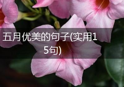五月优美的句子(实用15句)