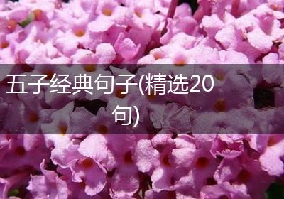 五子经典句子(精选20句)