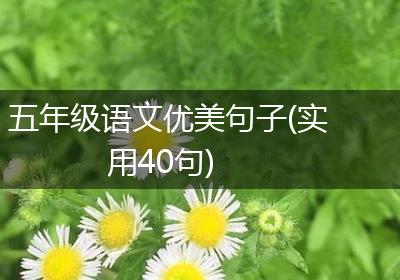 五年级语文优美句子(实用40句)