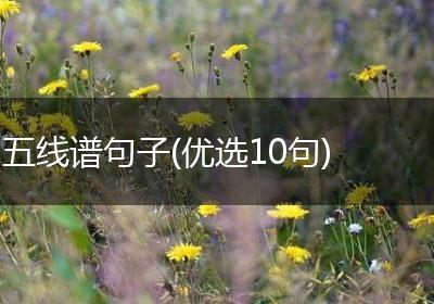 五线谱句子(优选10句)