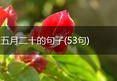 五月二十的句子(53句)