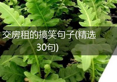 交房租的搞笑句子(精选30句)