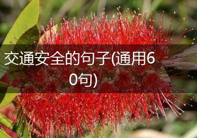 交通安全的句子(通用60句)